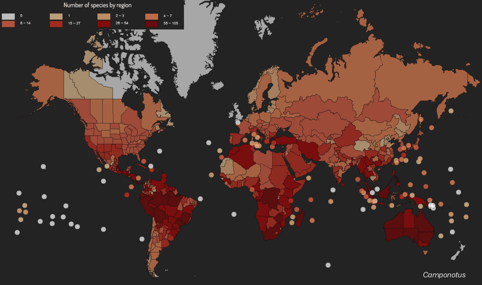 https://api.antapi.org/antmaps/Camponotus